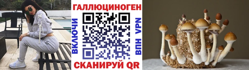 где купить   Малоярославец  Псилоцибиновые грибы Magic Shrooms 