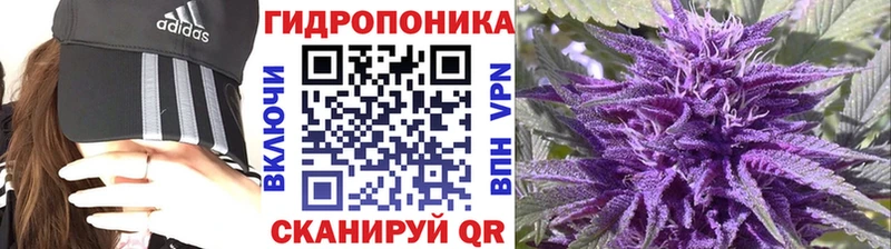 ОМГ ОМГ как зайти Малоярославец МАРИХУАНА сатива
